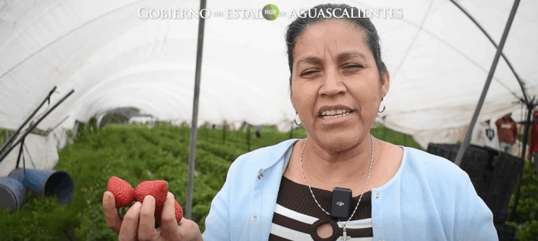 imagen_2025-09-01_104335866
