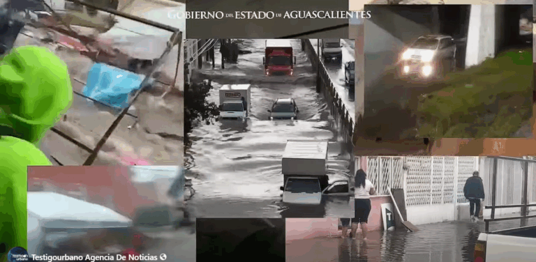 imagen_2025-09-01_111743402